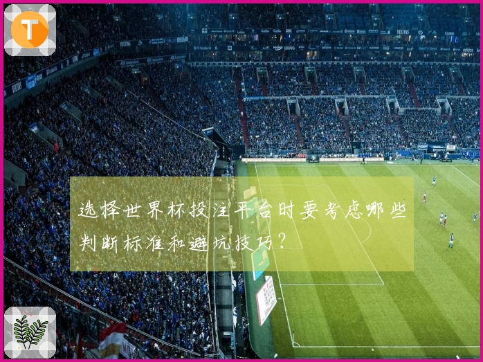 选择世界杯投注平台时要考虑哪些判断标准和避坑技巧？