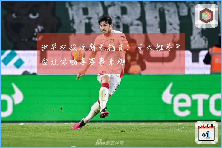 世界杯投注新手指南：五大推荐平台让你畅享赛事乐趣
