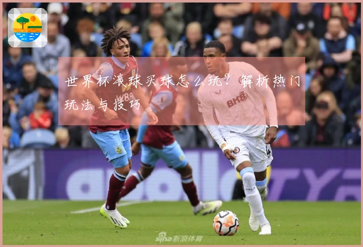 世界杯滚球买球怎么玩？解析热门玩法与技巧