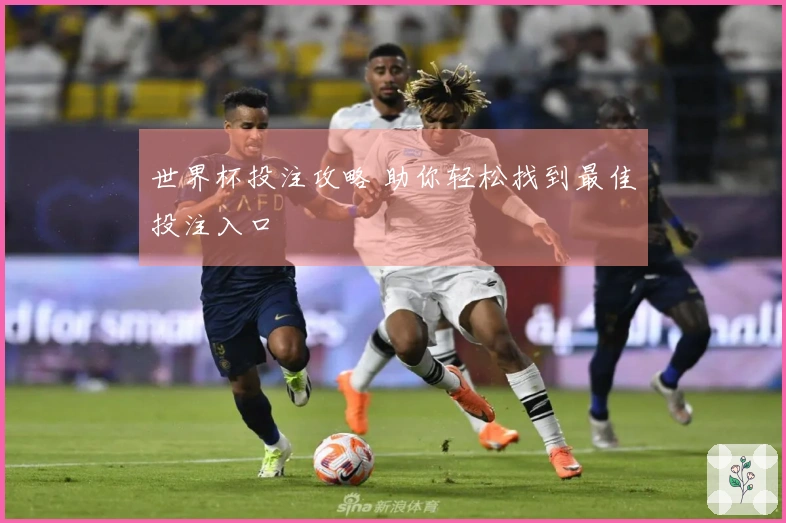 世界杯投注攻略 助你轻松找到最佳投注入口