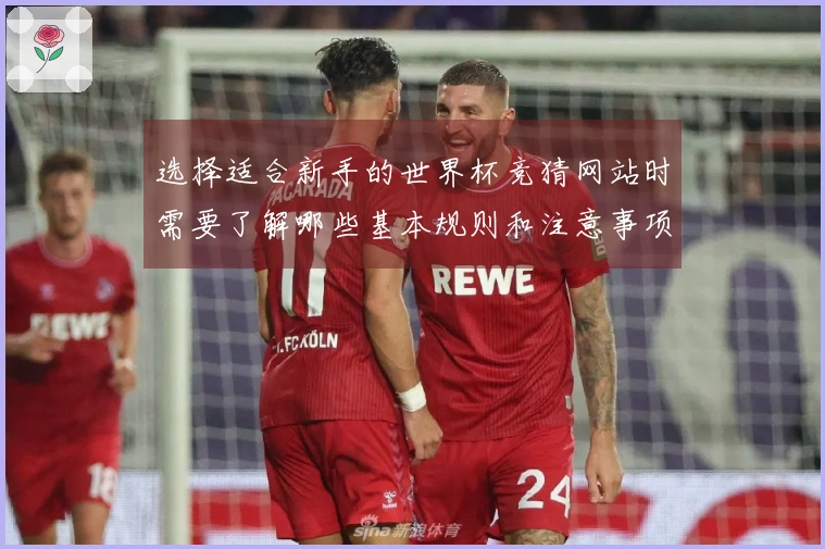 选择适合新手的世界杯竞猜网站时需要了解哪些基本规则和注意事项
