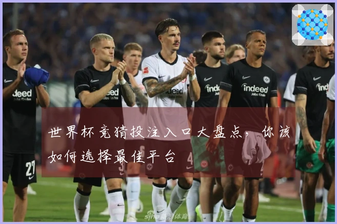 世界杯竞猜投注入口大盘点，你该如何选择最佳平台