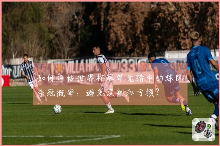 如何评估世界杯冠军竞猜中的球队夺冠概率，避免误判和亏损？