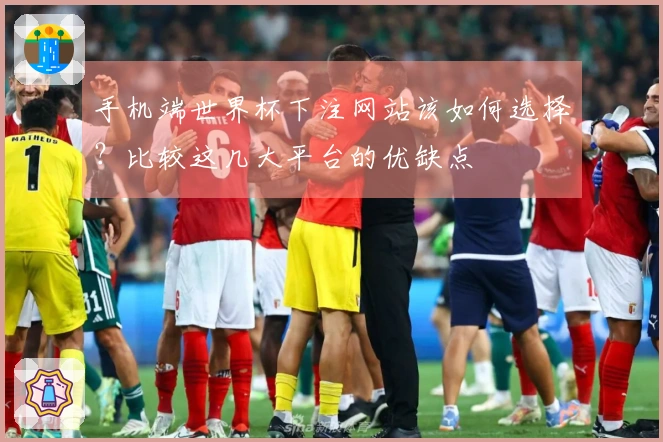 手机端世界杯下注网站该如何选择？比较这几大平台的优缺点