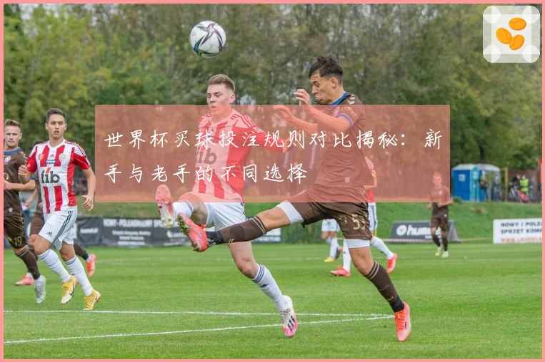 世界杯买球投注规则对比揭秘：新手与老手的不同选择