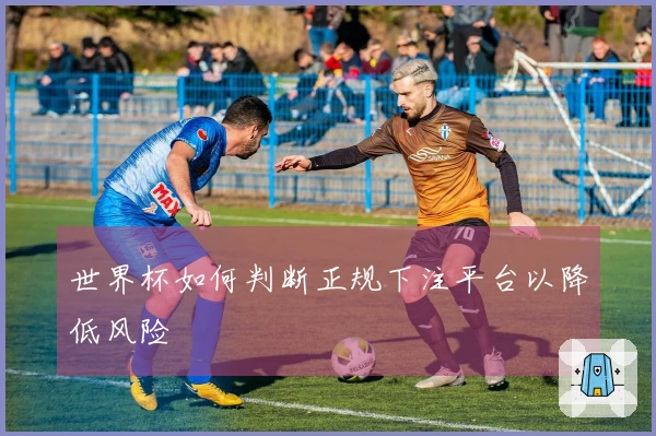 世界杯如何判断正规下注平台以降低风险