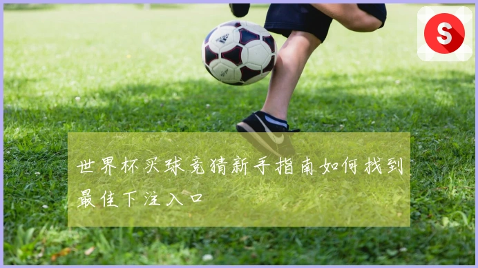 世界杯买球竞猜新手指南如何找到最佳下注入口
