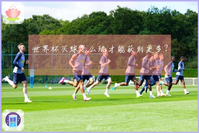 世界杯买球怎么玩才能获利更多？