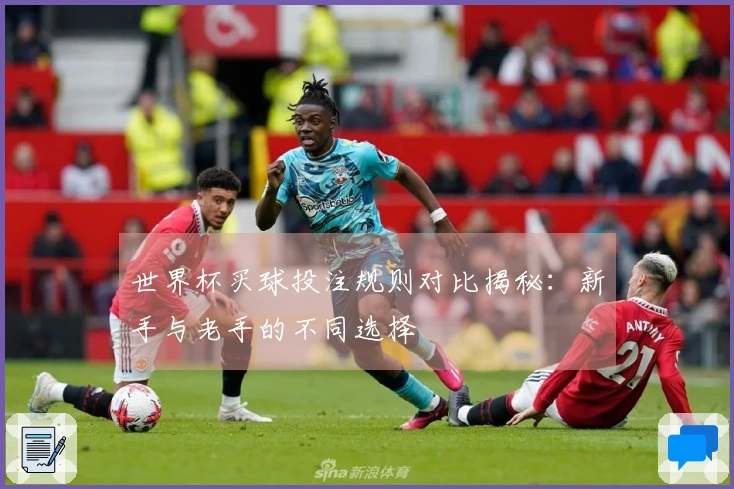 世界杯买球投注规则对比揭秘：新手与老手的不同选择