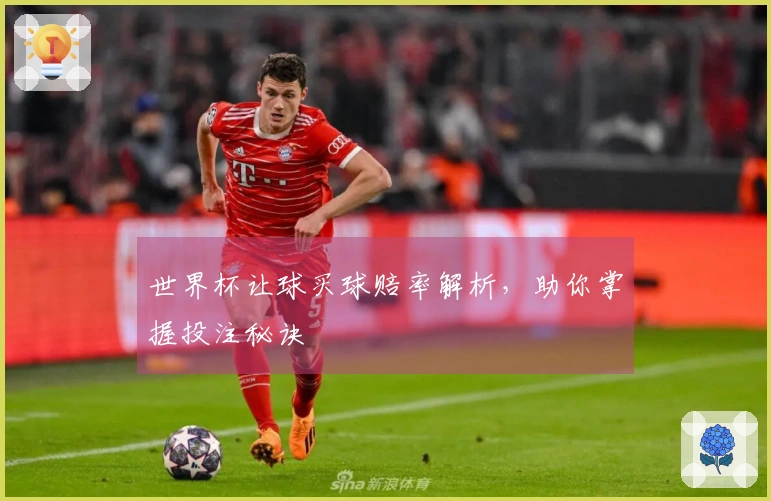 世界杯让球买球赔率解析，助你掌握投注秘诀