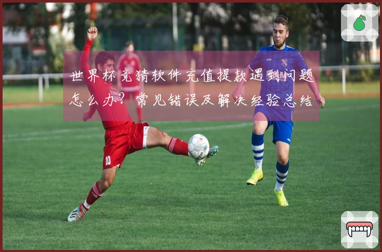世界杯竞猜软件充值提款遇到问题怎么办？常见错误及解决经验总结