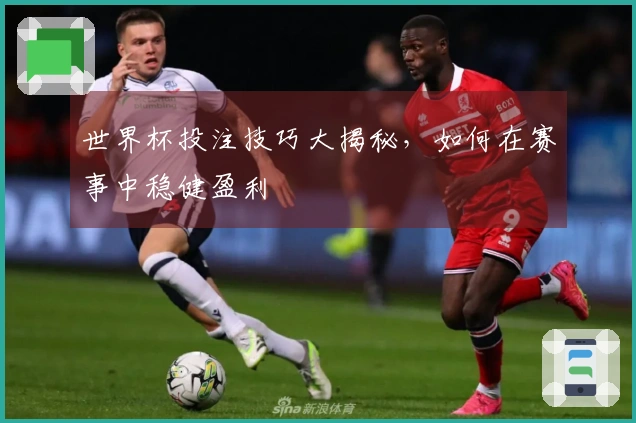 世界杯投注技巧大揭秘，如何在赛事中稳健盈利