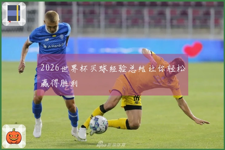 2026世界杯买球经验总结让你轻松赢得胜利