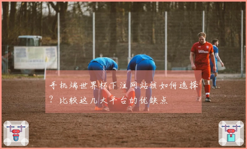 手机端世界杯下注网站该如何选择？比较这几大平台的优缺点