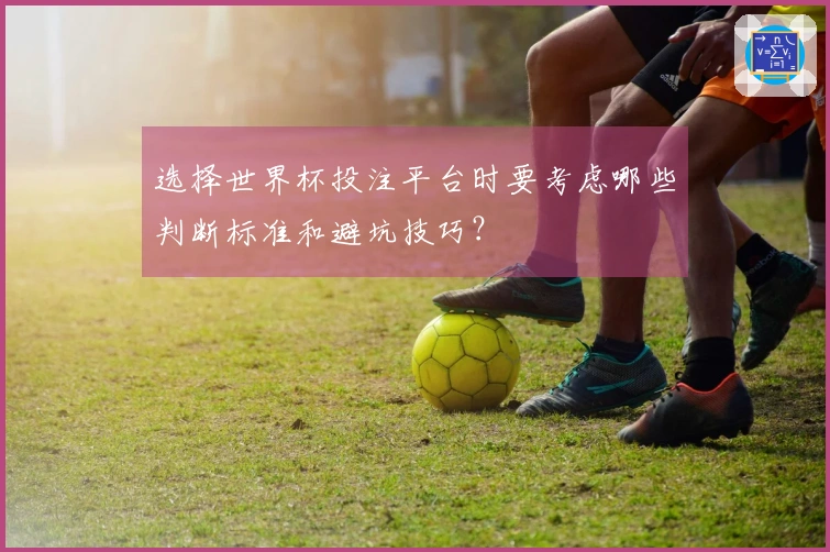 选择世界杯投注平台时要考虑哪些判断标准和避坑技巧？