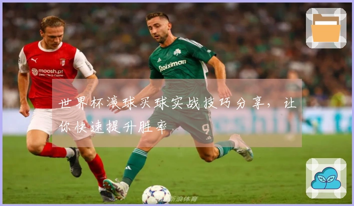 世界杯滚球买球实战技巧分享，让你快速提升胜率