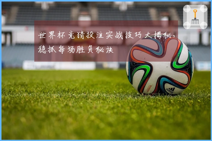 世界杯竞猜投注实战技巧大揭秘，稳抓每场胜负秘诀