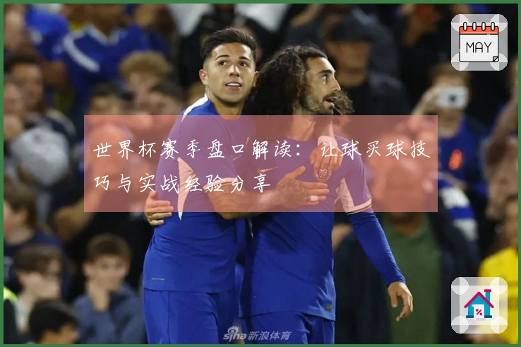 世界杯赛季盘口解读：让球买球技巧与实战经验分享