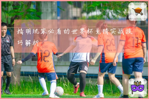 精明玩家必看的世界杯竞猜实战技巧解析