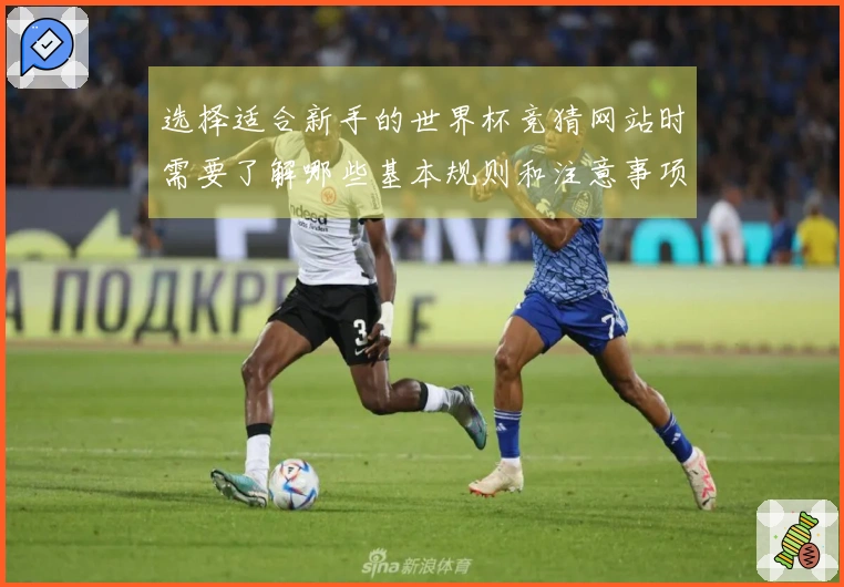 选择适合新手的世界杯竞猜网站时需要了解哪些基本规则和注意事项