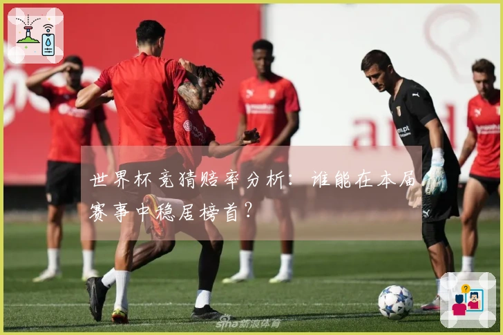 世界杯竞猜赔率分析：谁能在本届赛事中稳居榜首？