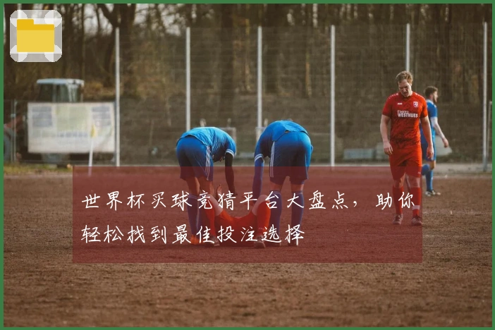 世界杯买球竞猜平台大盘点，助你轻松找到最佳投注选择