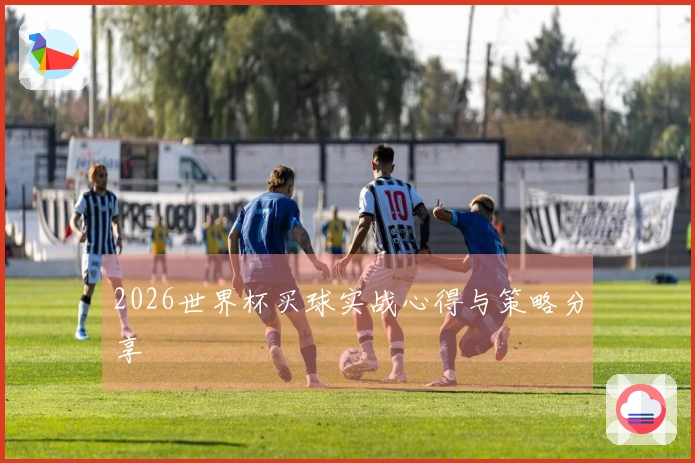 2026世界杯买球实战心得与策略分享
