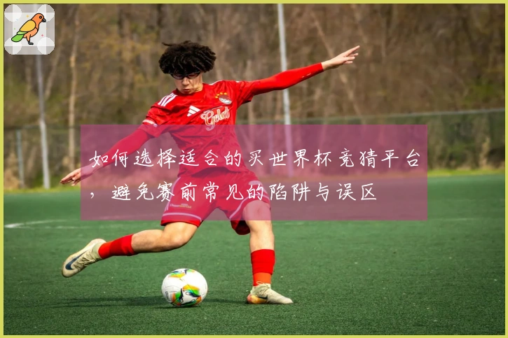 如何选择适合的买世界杯竞猜平台，避免赛前常见的陷阱与误区